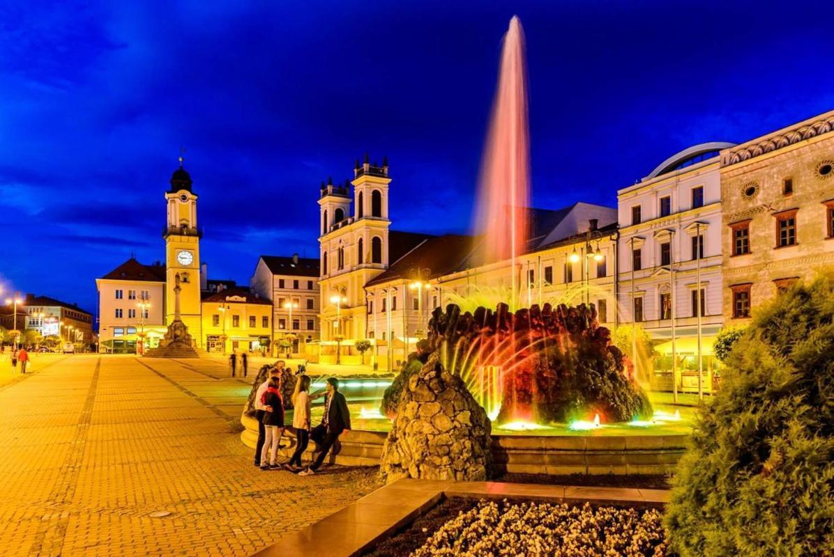 Apartman Terminal, Self Check-In 24 H, Free Parking Банска-Бистрица Экстерьер фото