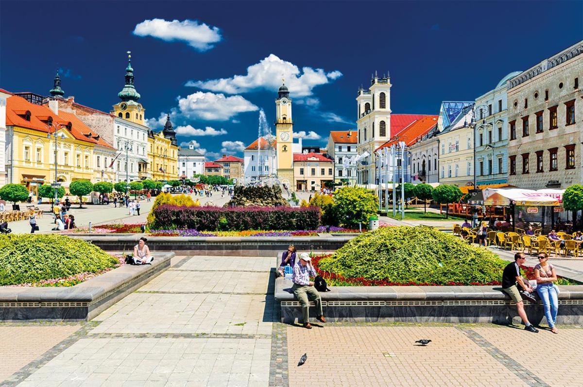 Apartman Terminal, Self Check-In 24 H, Free Parking Банска-Бистрица Экстерьер фото